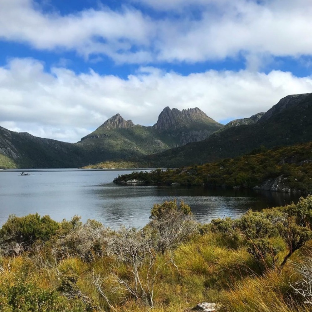 Meet your Posher, Krystle